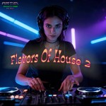 Flavors of House 2